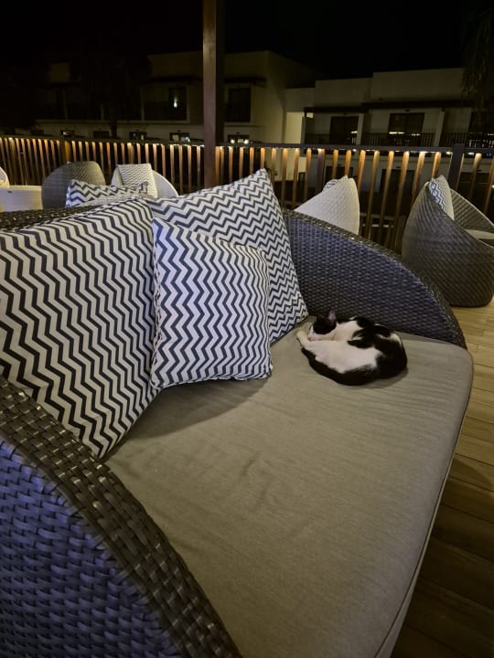 Gastro Meliá Laguna Beach