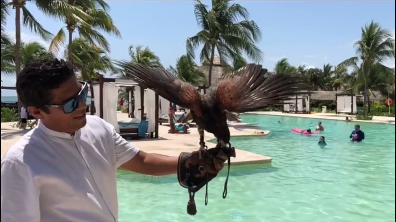 Haustier Akumal Bay Beach & Wellness Resort