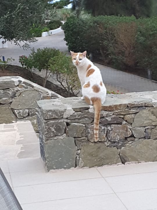 Gartenanlage Hotel Kakkos Bay