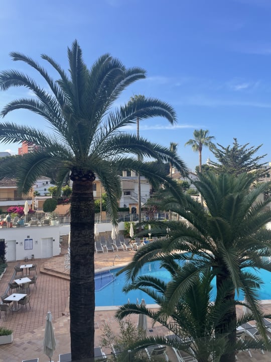 Ausblick allsun Hotel Cristóbal Colón