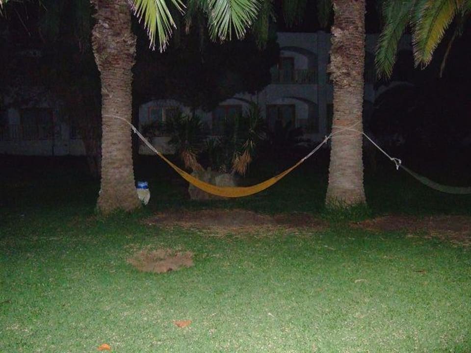 Hängematte im Garten The Orangers Beach Resort and Bungalows