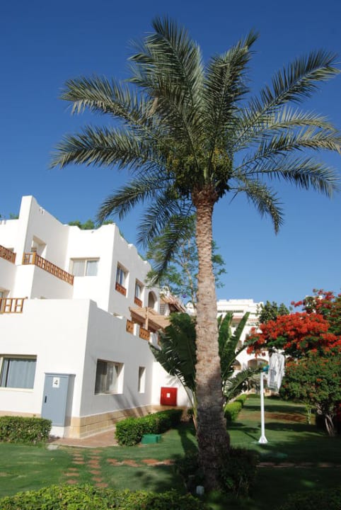 Ogrod Pickalbatros Royal Grand Resort - Sharm El Sheikh