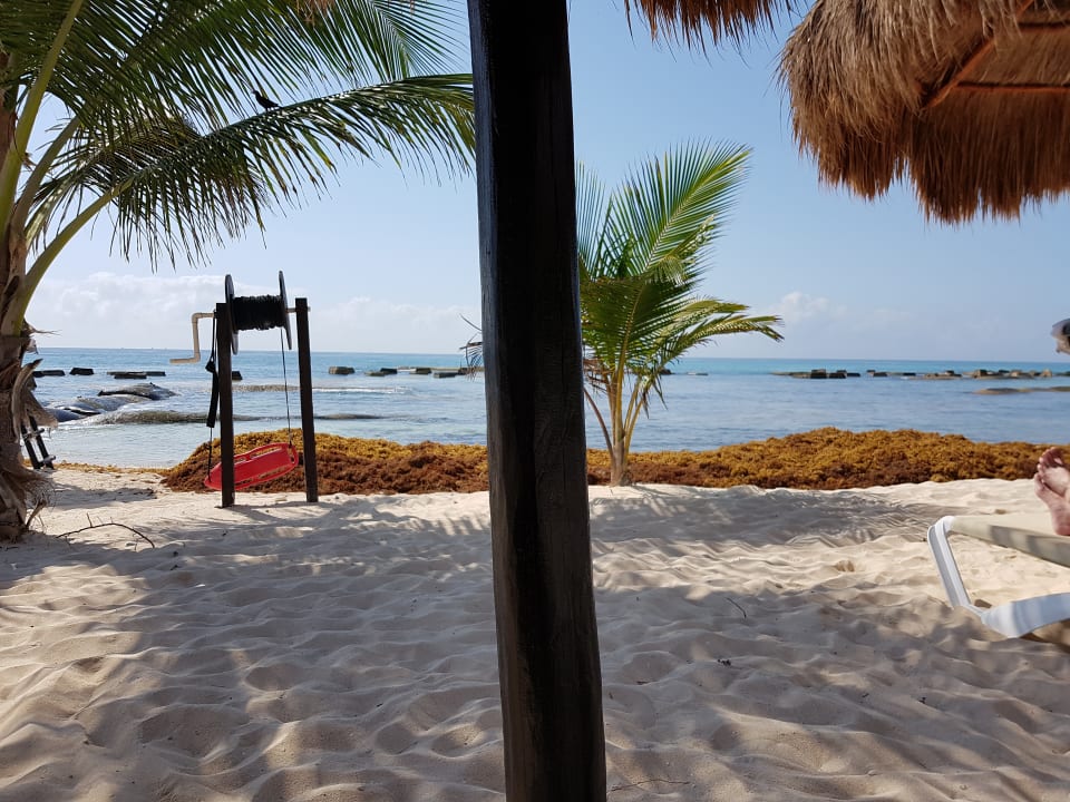 Strand El Dorado Royale