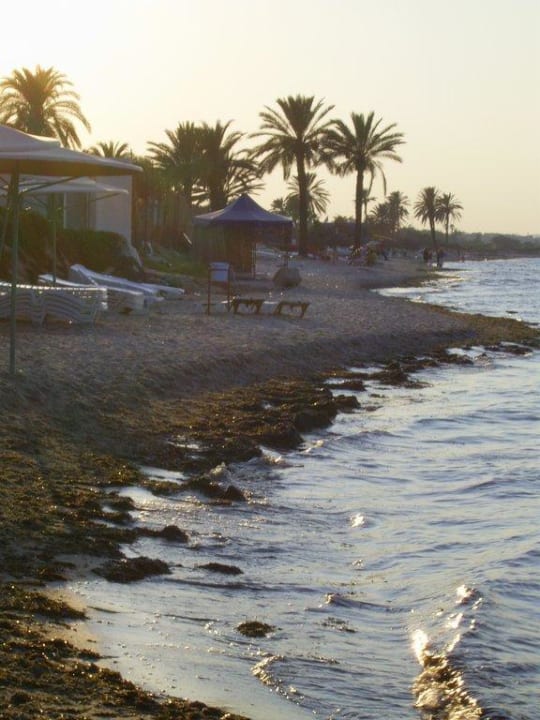 Strand kurz vor Sonnenuntergang Hotel El Mouradi Skanes Beach