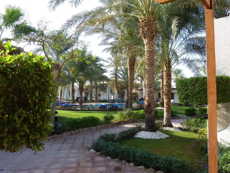 Schöne Wege durch die Gartenanlage JAZ Fayrouz