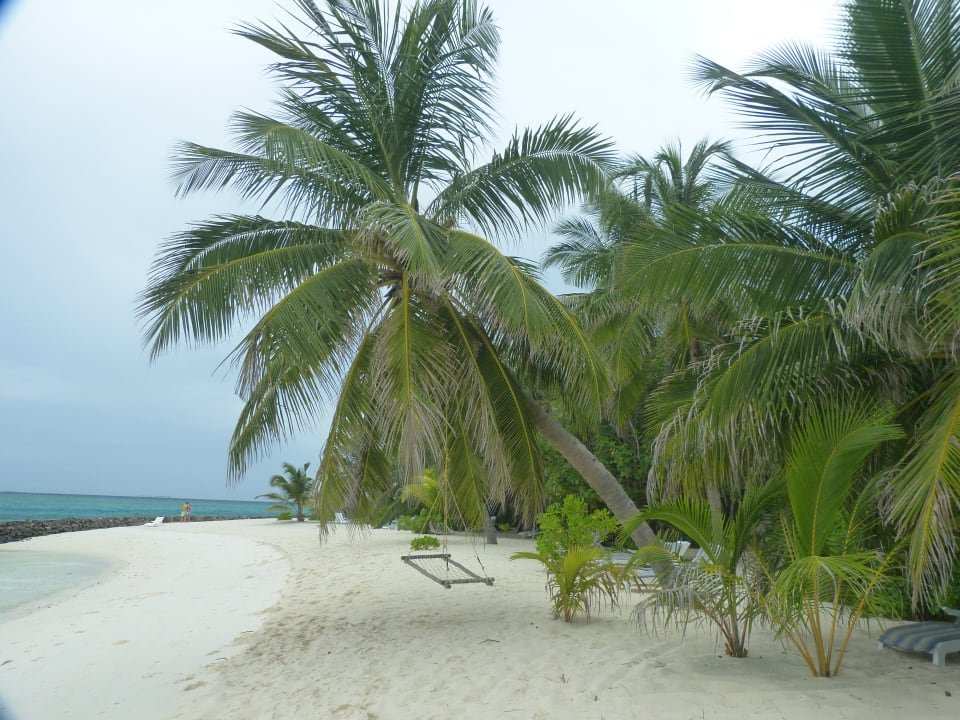Strand Summer Island Maldives