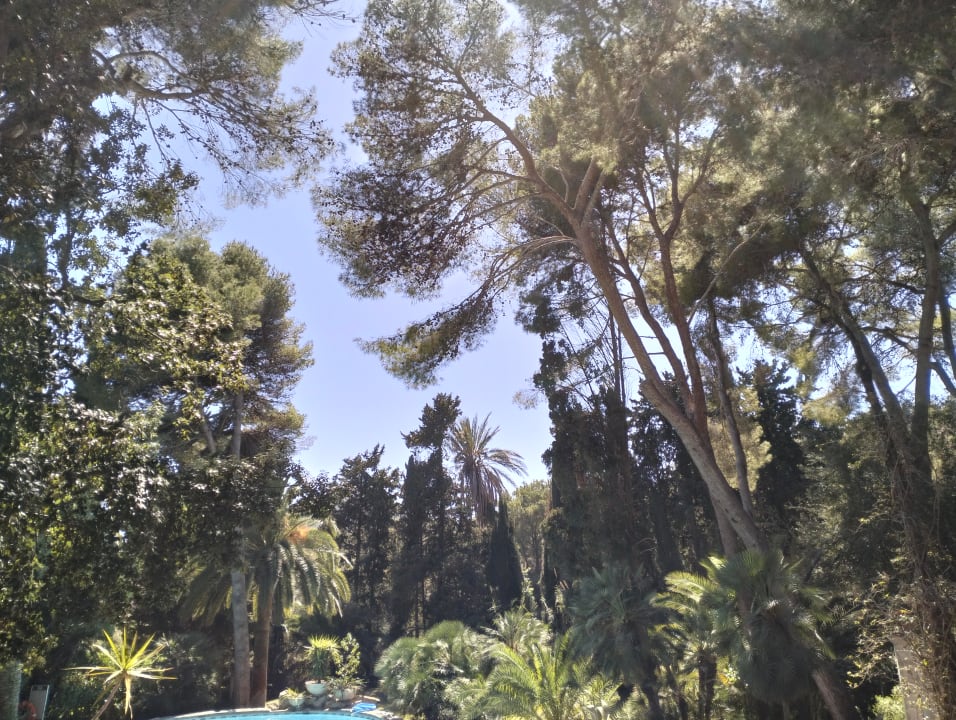 Gartenanlage Lago Garden