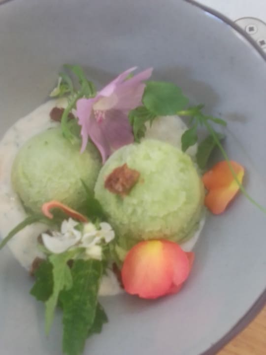 Gastro Kavaliershaus Suitehotel am Finckener See