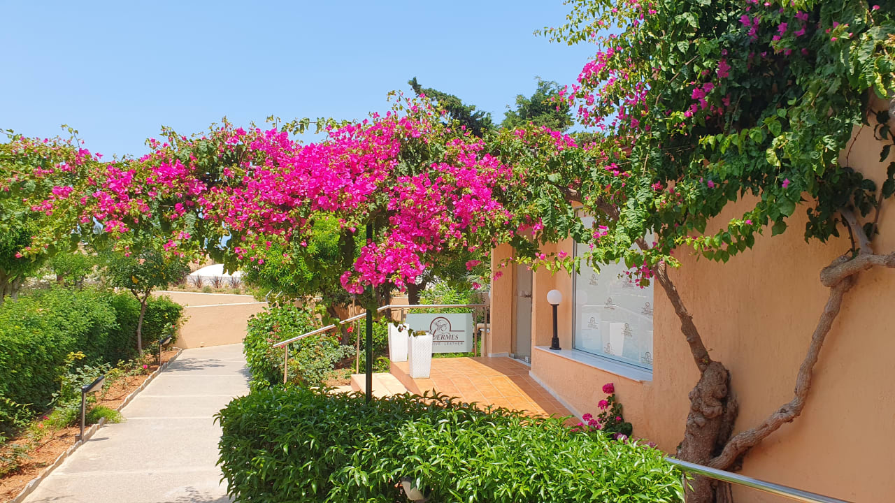 Gartenanlage Anissa Beach & Village