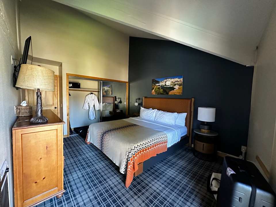 Zimmer Outbound Mammoth