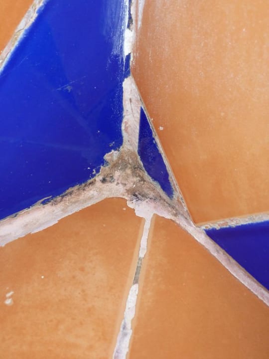 Schimmel und Flickereien Grand Makadi