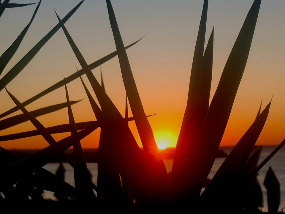 Strand Sentido Marea