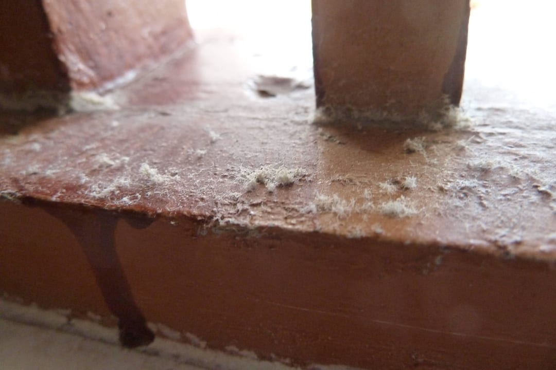 Schimmel auf dem Badfesnster The Long Beach Resort