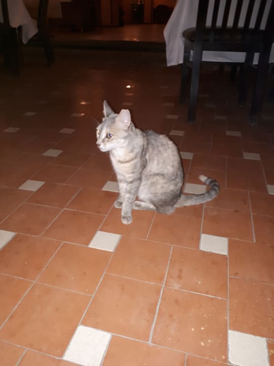 Sonstiges Giftun Azur Resort