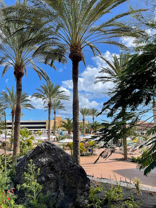 Gartenanlage Iberostar Waves Gaviotas Park