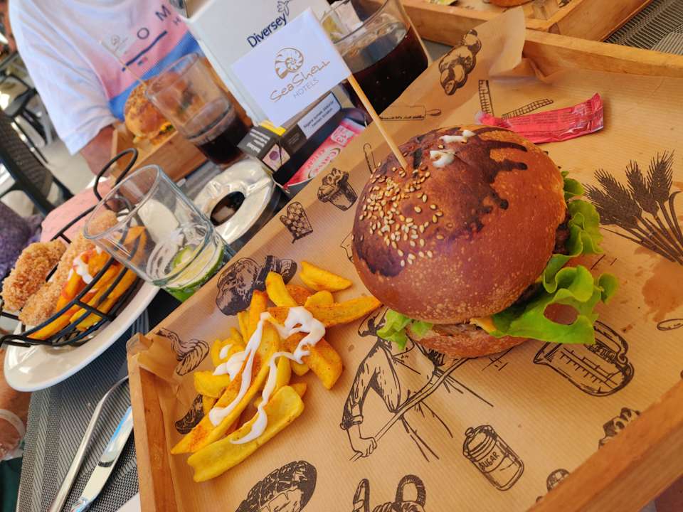 Gastro Seashell Vega