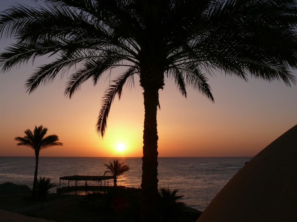 Ausblick Steigenberger Coraya Beach - Adults only