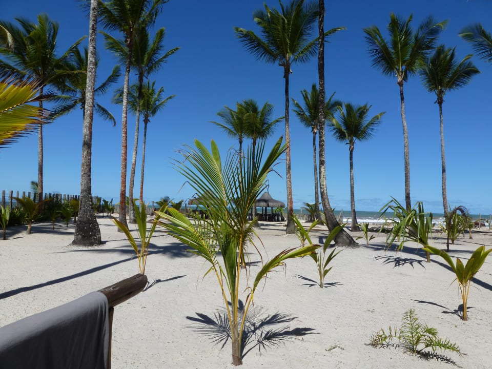 Terrasse zum Meer Lummerland Beach