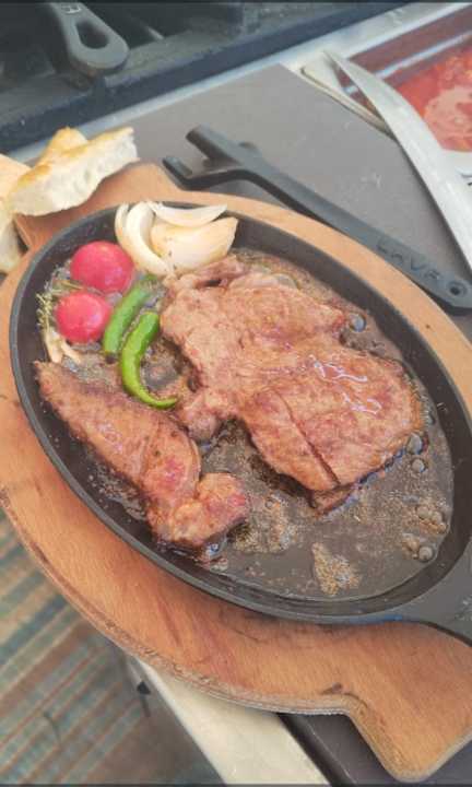 Gastro Seashell Vega