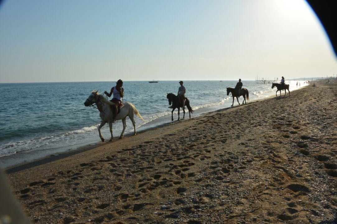 Reitausflug am Strand  Marvida Family Eco