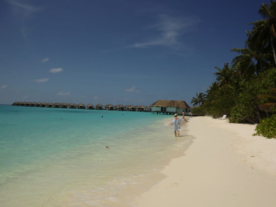 Strand Safari Island Maldives