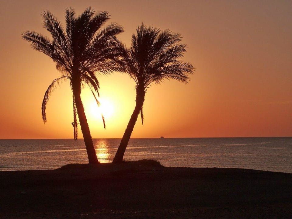 Sonnenaufgang Malikia Resort Abu Dabbab