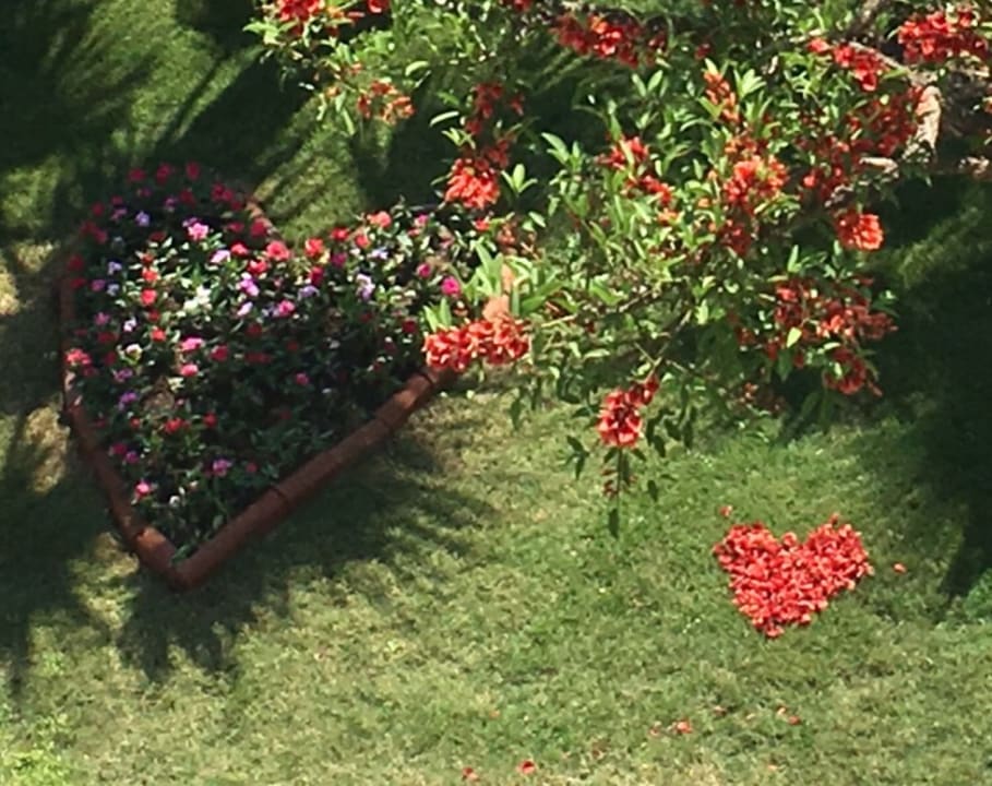 Gartenanlage Belek Beach Resort Hotel