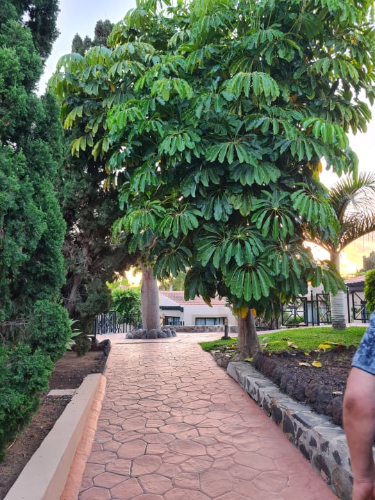 Gartenanlage allsun Hotel Esplendido