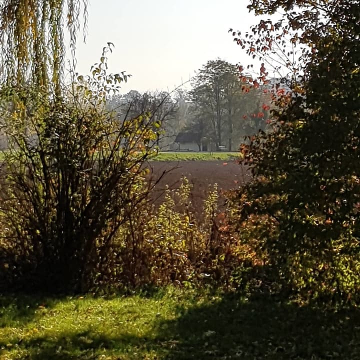 Ausblick Hotel Quellenhof