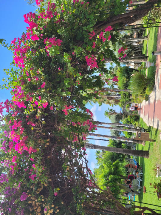 Gartenanlage Hotel Defne Garden