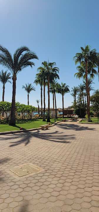 Außenansicht Iberotel Palace