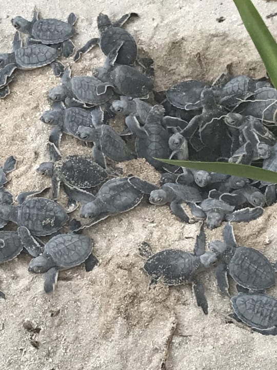 Strand Akumal Bay Beach & Wellness Resort