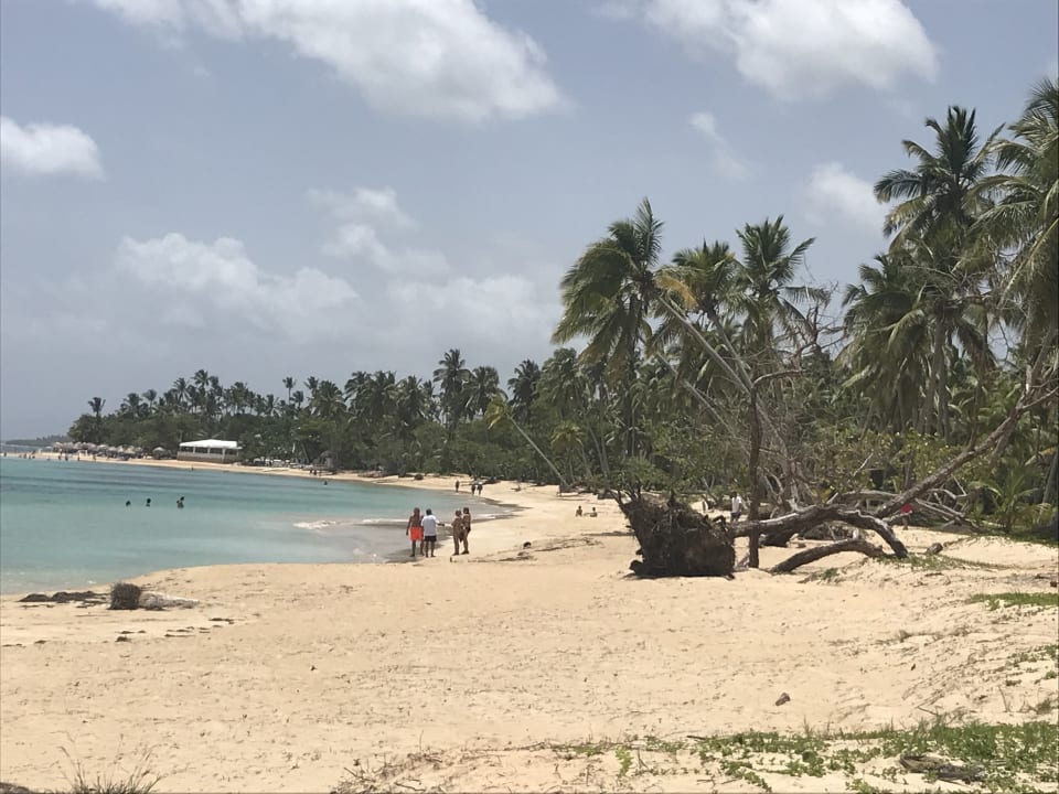 Playa Portillo Bahia Principe Grand El Portillo