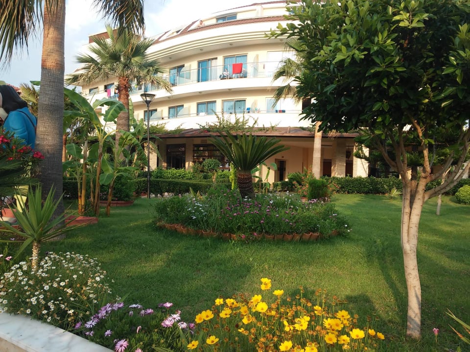 Сад Saphir Hotel & Villas