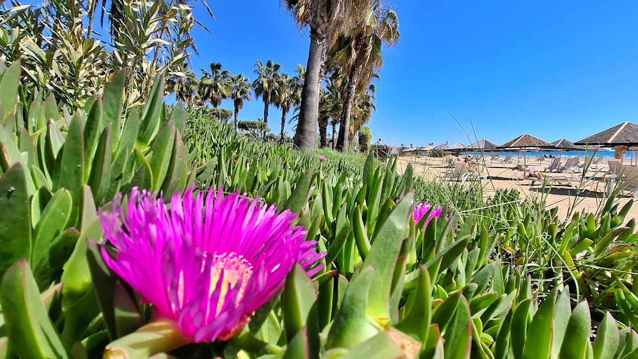 Strand Hotel Defne Garden