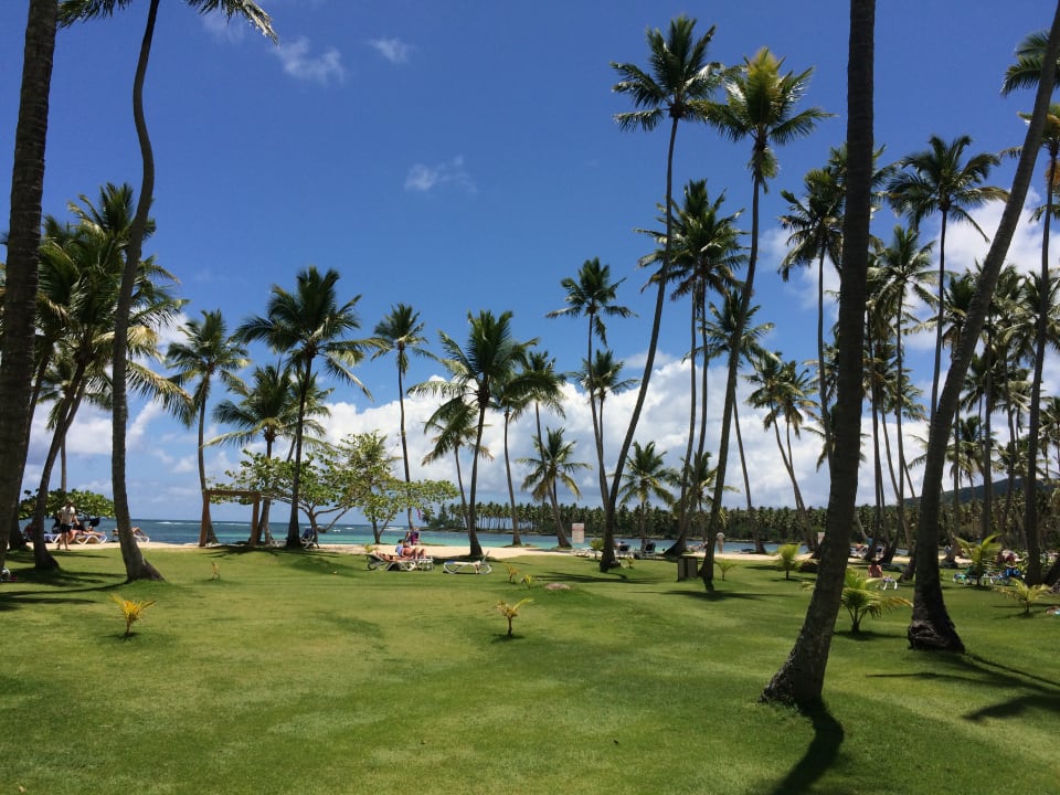 Gartenanlage Wyndham Alltra Samana