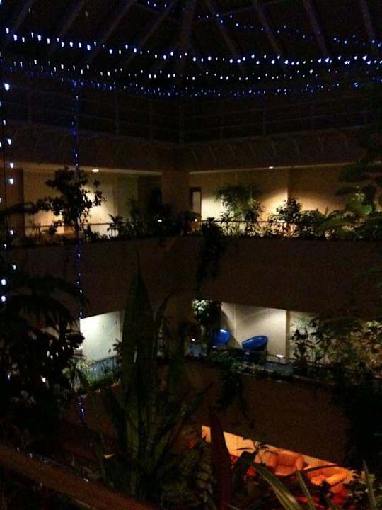 Atrium of Hotel Proton with lots of Green Hotel Proton