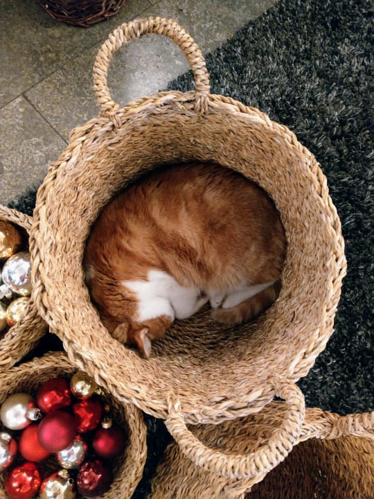 Sport & Freizeit Hotel Rotes Ross Marktbergel