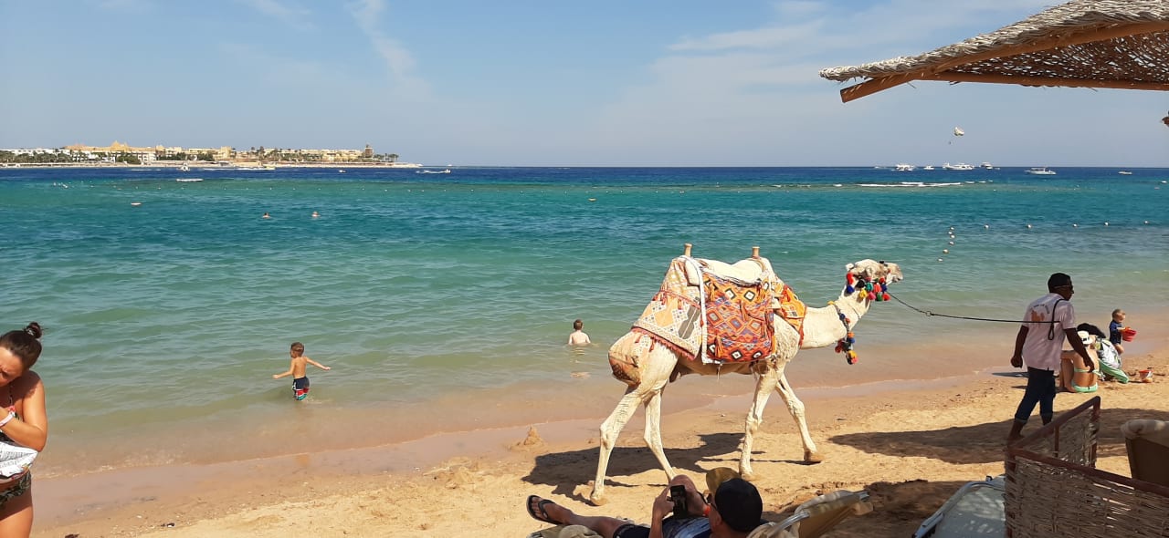 Strand Jaz Makadi Oasis Resort