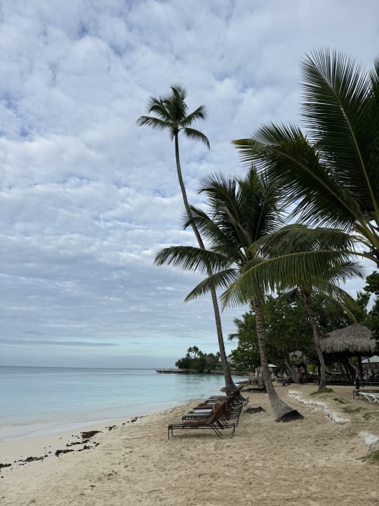 Strand Secrets La Romana Resort & Spa - Adult Only