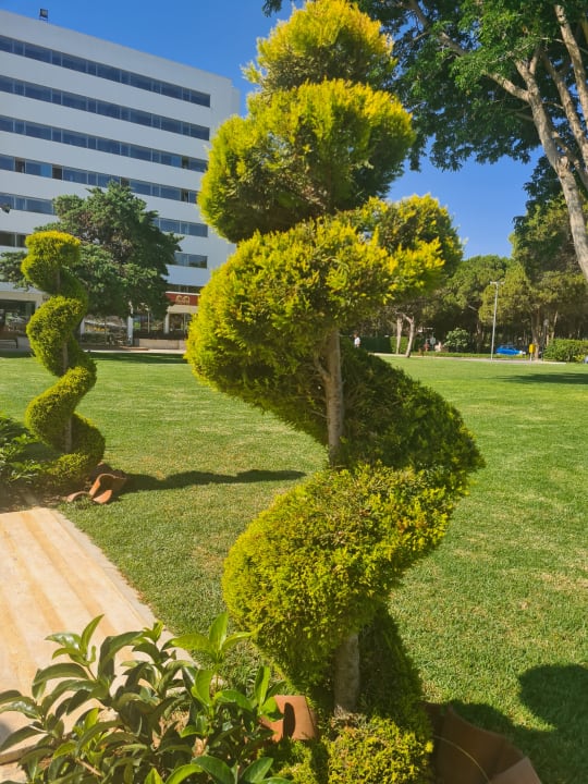 Gartenanlage Salamis Bay Conti Resort Hotel & Casino