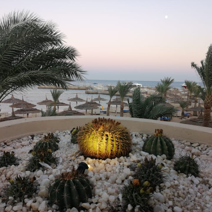 Strand Beach Albatros Resort