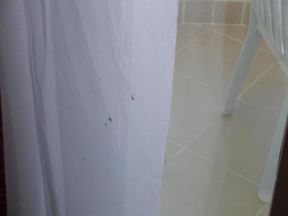 Vorhang beim Einzug Riviera Aqua Park Resort