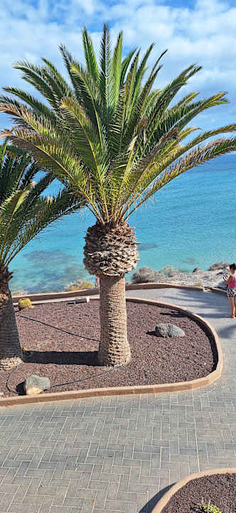 Ausblick Sotavento Beach Club