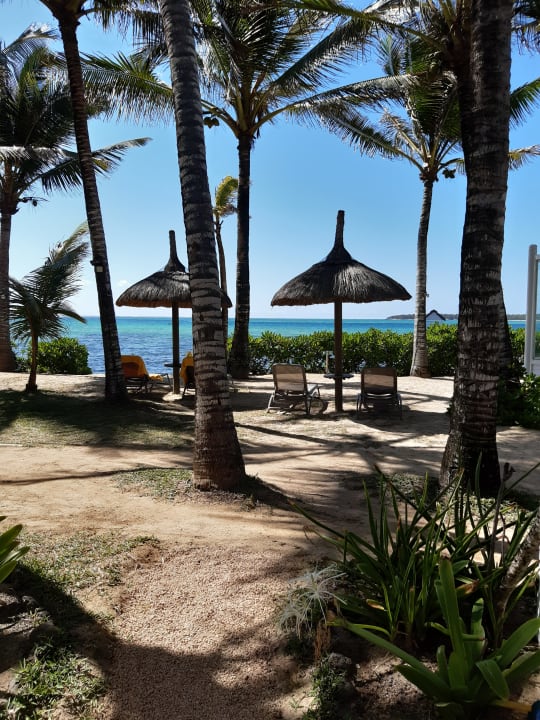 Ausblick Tropical Attitude - Adults only