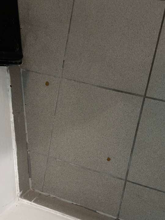 Zimmer Premier Inn Wien City Hauptbahnhof