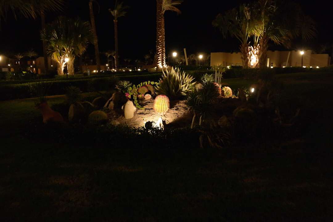Gartenlandschaft Cleopatra Luxury Resort Makadi Bay