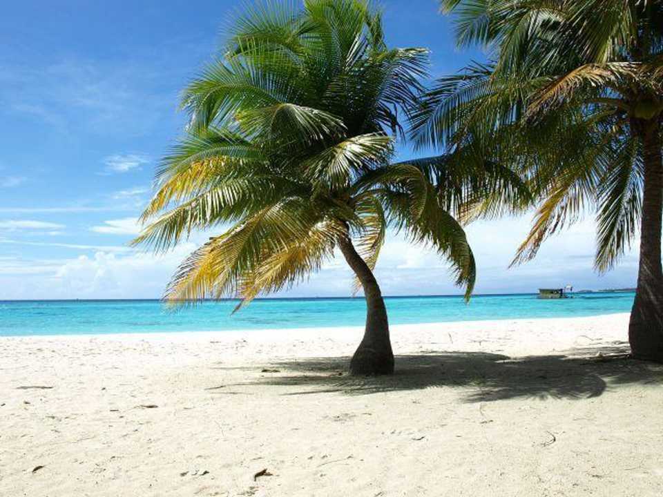 Vor unserer JBV Kuredu Island Resort & Spa