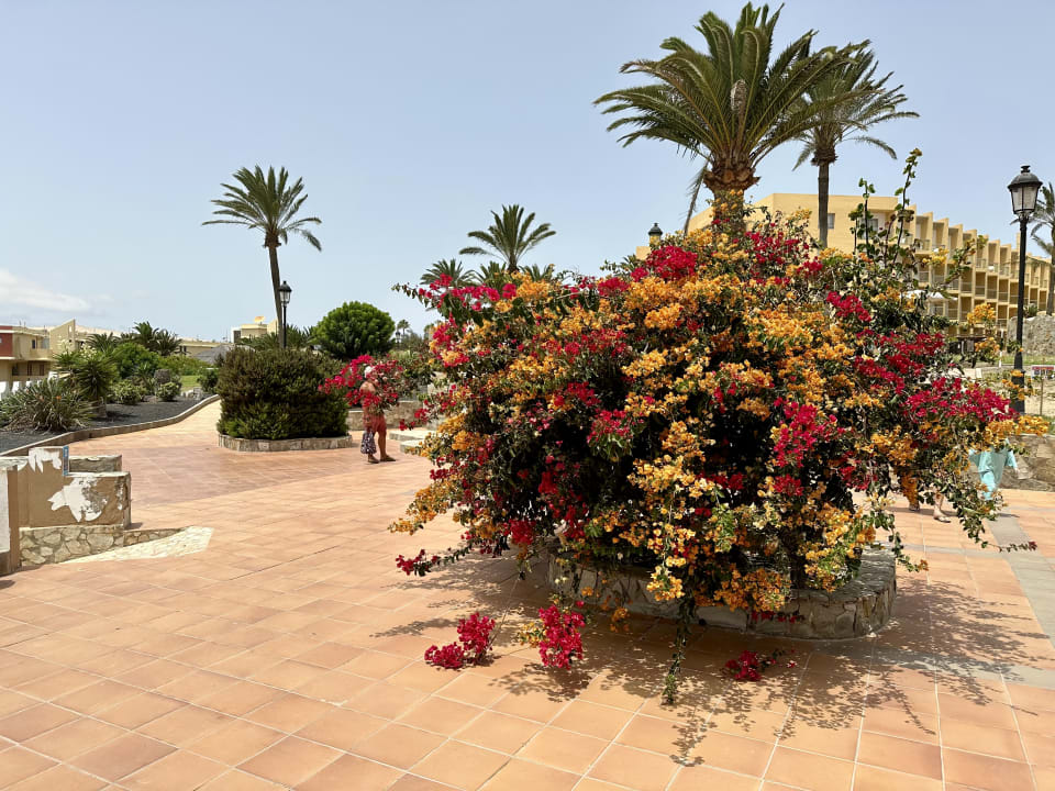 Ausblick SBH Costa Calma Beach Resort