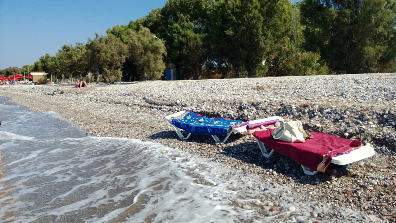 Sun - bedy . All Senses Ocean Blue Sea Side Resort & Spa